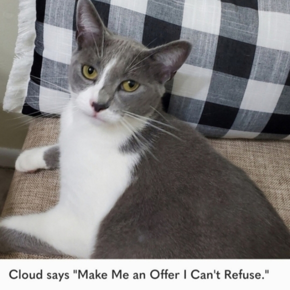 Betsy's Things Vintage Elegant Green Lace Dress, Size Small - Picture 12 of 12